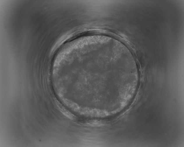 X0000080810293200701122248