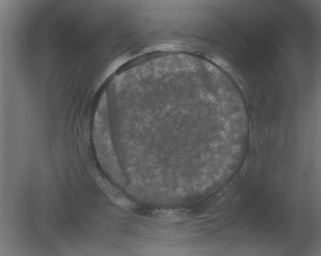 X0000080810297200701122248