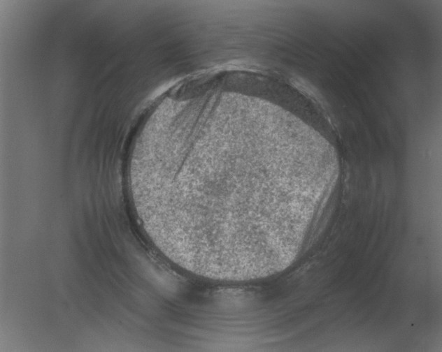 X0000080810298200701122248