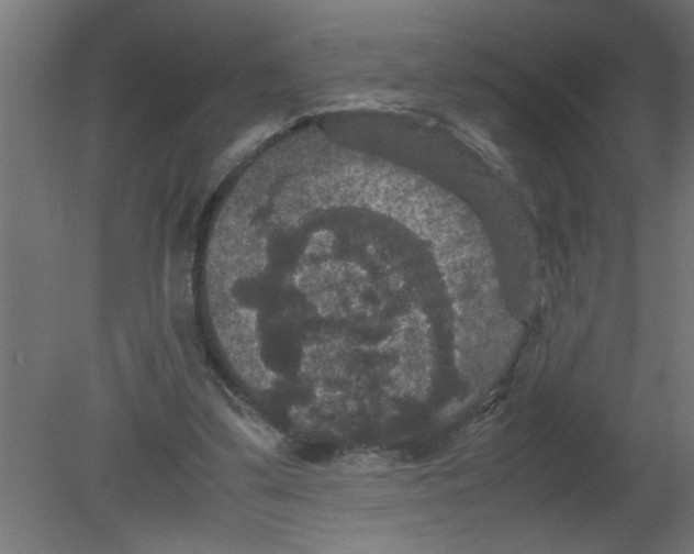 X0000080810299200701122248