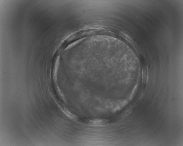 X0000080810301200701122248