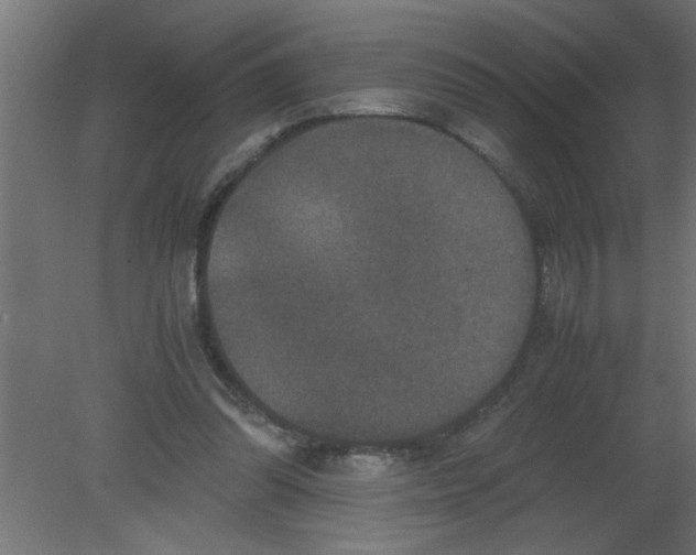 X0000080810302200701122248