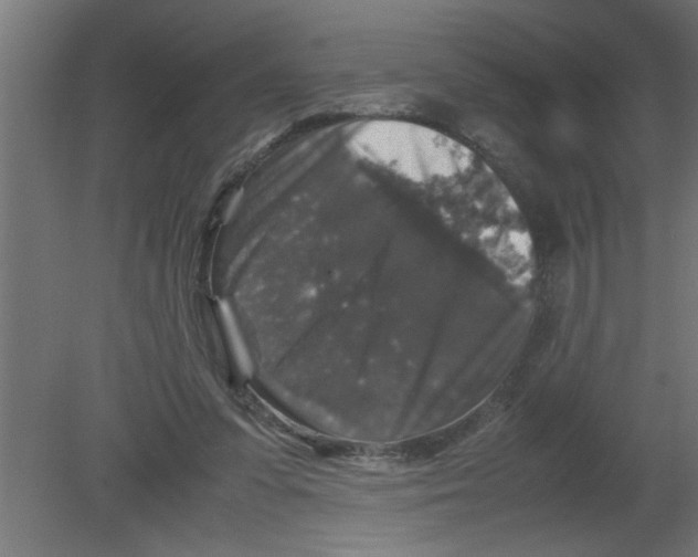 X0000080810303200701122248