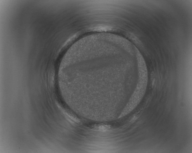 X0000080810304200701122248