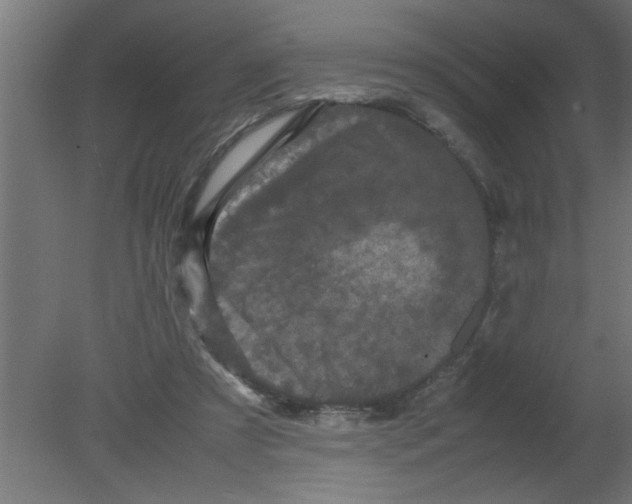 X0000080810305200701122248