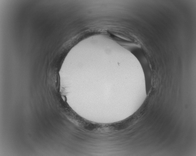 X0000080810307200701122248