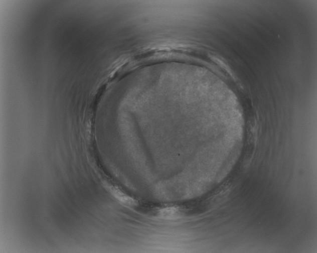 X0000080810309200701122248