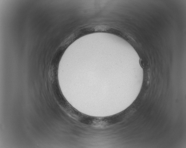 X0000080810311200701122248