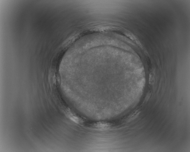 X0000080810313200701122248