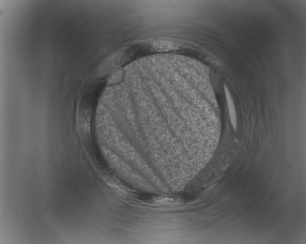 X0000080810315200701122247