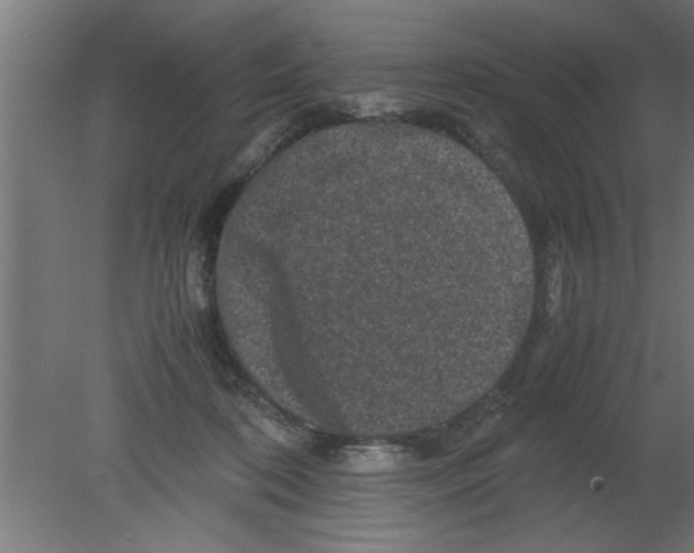 X0000080810316200701122247