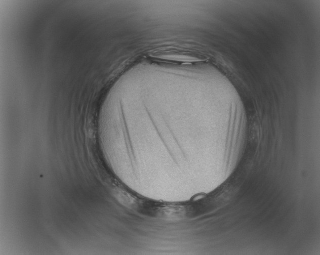 X0000080810317200701122247