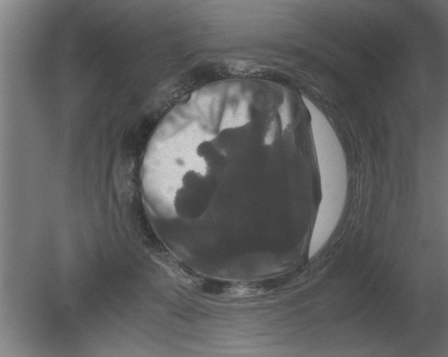 X0000080810319200701122247