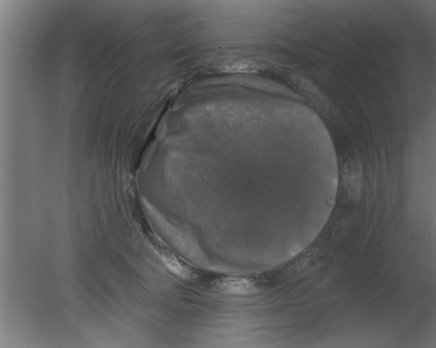 X0000080810322200701122247