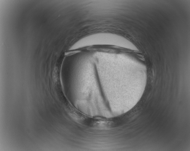 X0000080810323200701122247