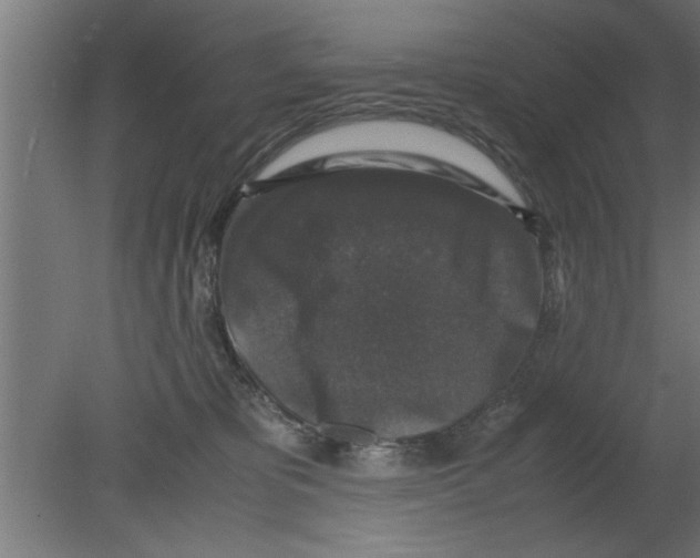 X0000080810325200701122247