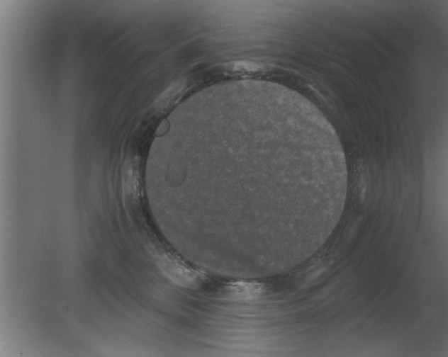 X0000080810328200701122247