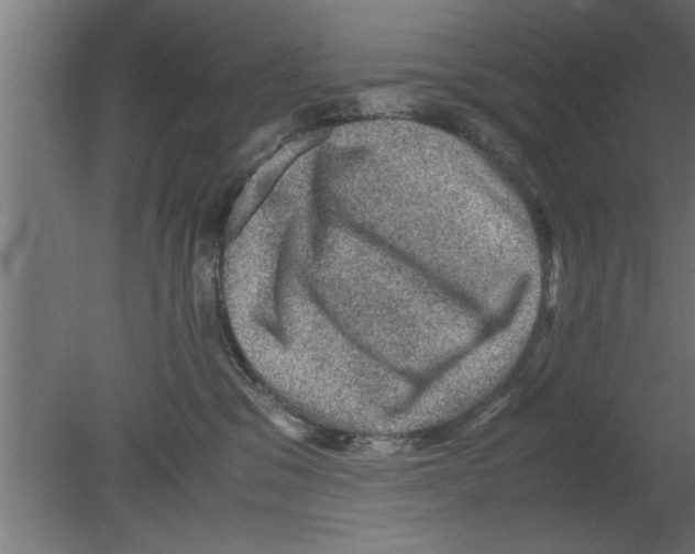 X0000080810329200701122247