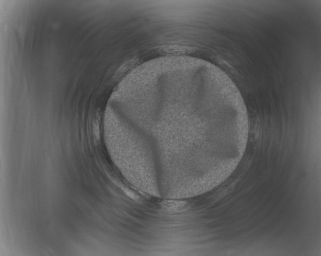 X0000080810334200701122247