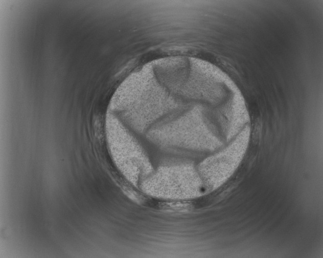 X0000080810335200701122247