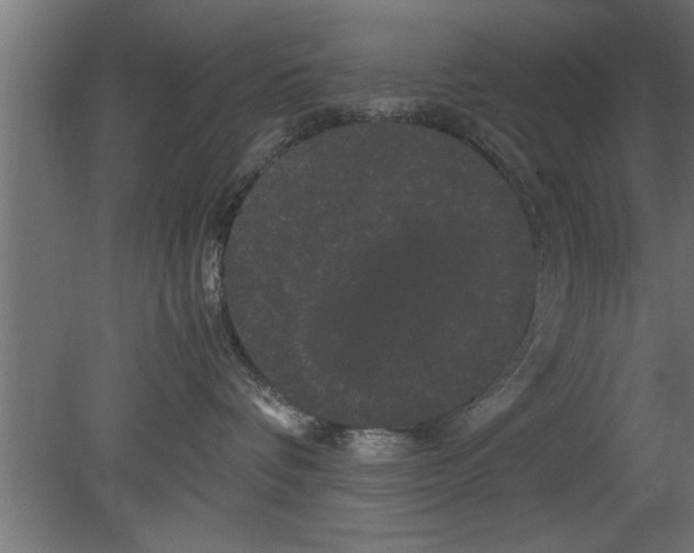 X0000080810336200701122247