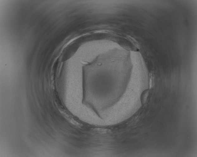 X0000080810339200701122246