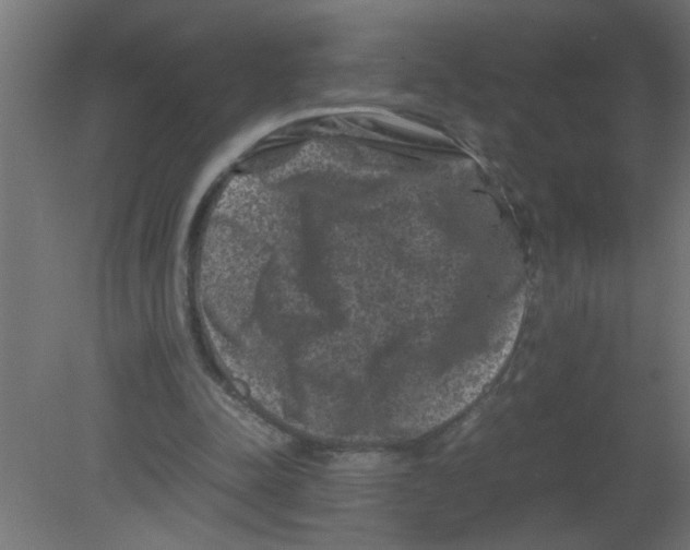 X0000080810342200701122246