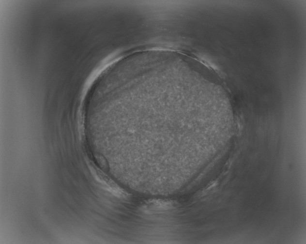 X0000080810343200701122246