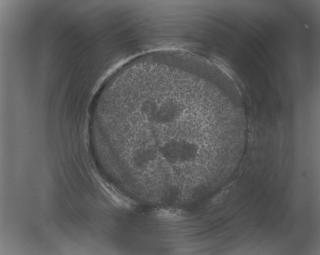 X0000080810346200701122246