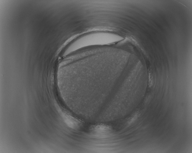 X0000080810348200701122247