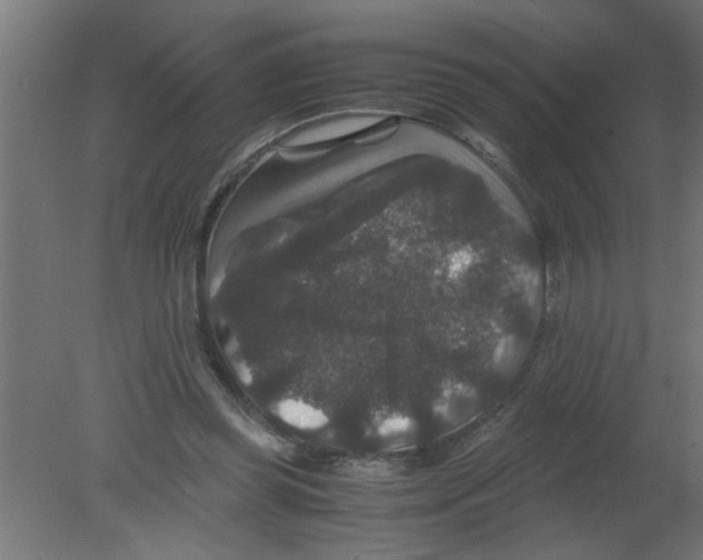 X0000080810349200701122247