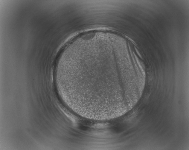 X0000080810350200701122247