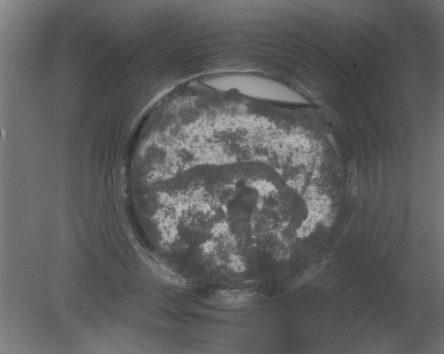 X0000080810351200701122247