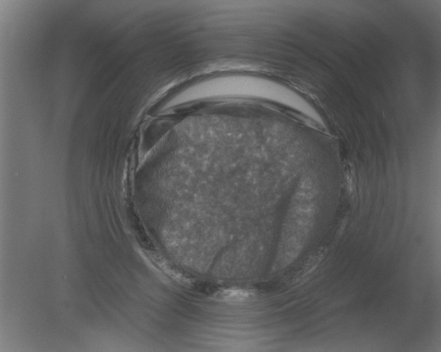 X0000080810352200701122247