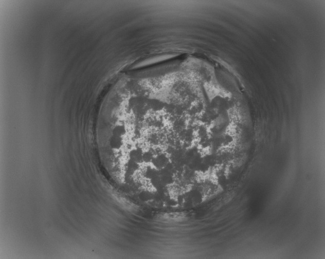 X0000080810353200701122247