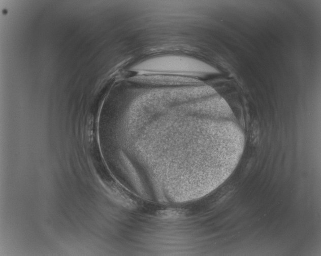 X0000080810356200701122247