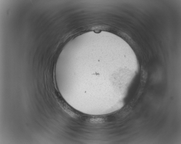 X0000080810357200701122247