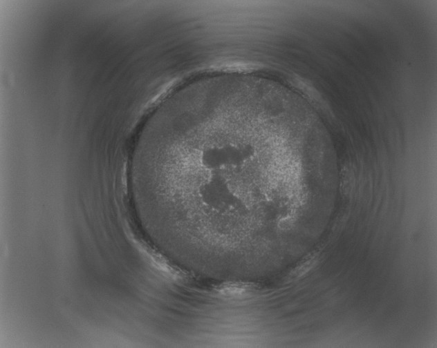 X0000080810358200701122247