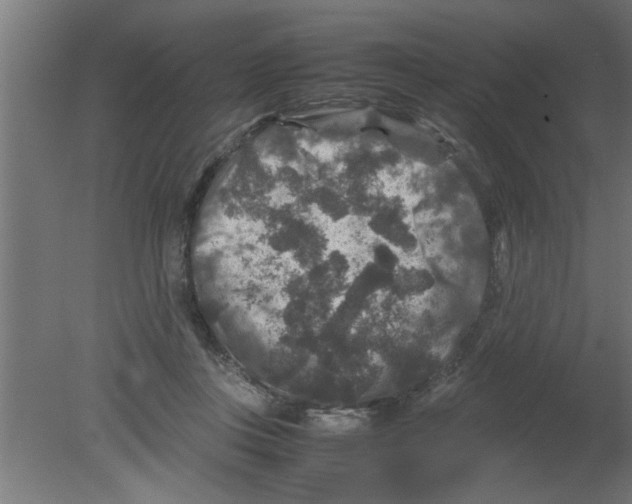 X0000080810359200701122247