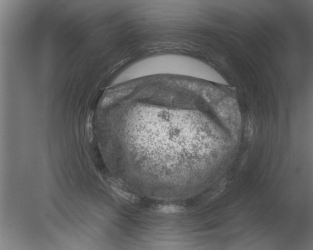 X0000080810360200701122247