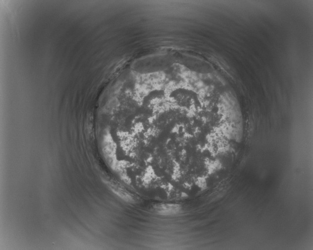 X0000080810361200701122247