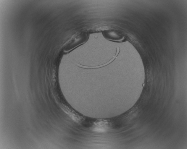 X0000080810362200701122247