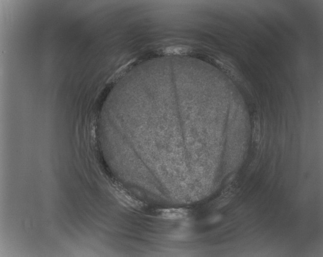 X0000080810363200701122247