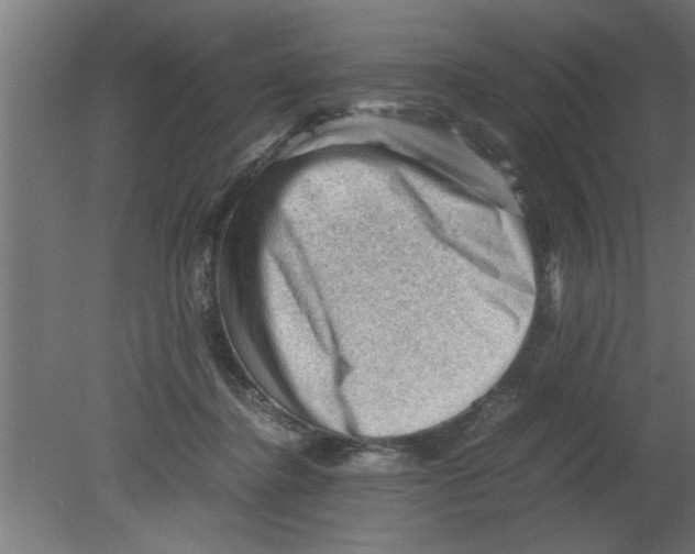 X0000080810364200701122247