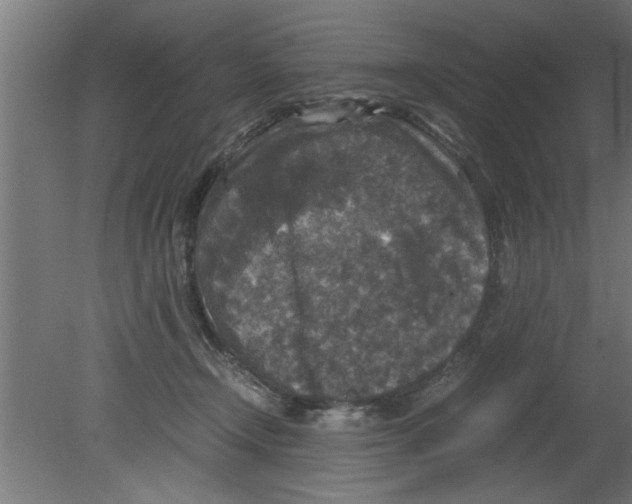 X0000080810366200701122247