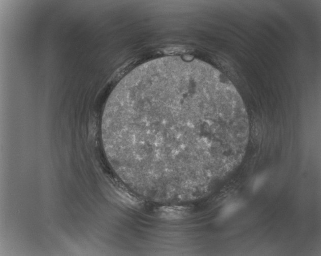 X0000080810367200701122247