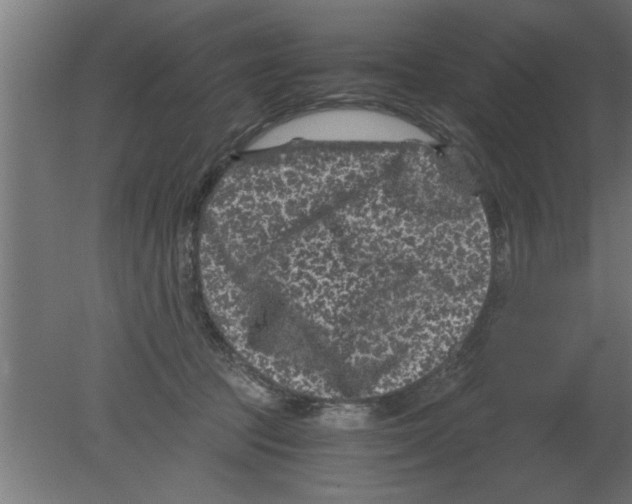 X0000080810369200701122247