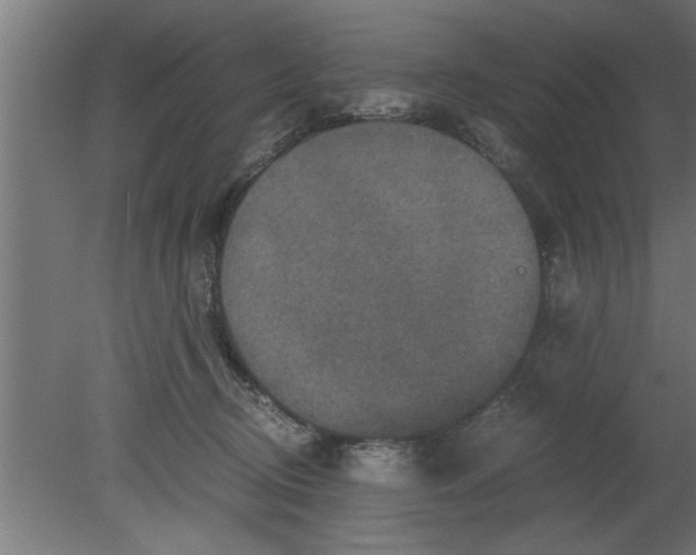 X0000080810370200701122247