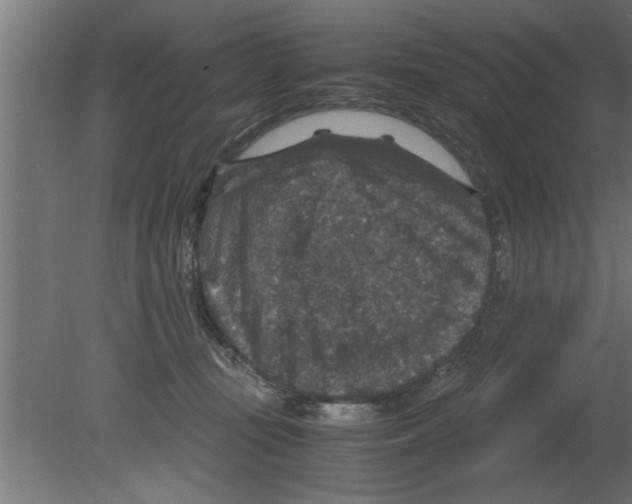 X0000080810371200701122247