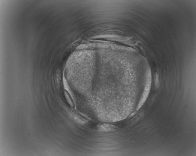 X0000080810372200701122247